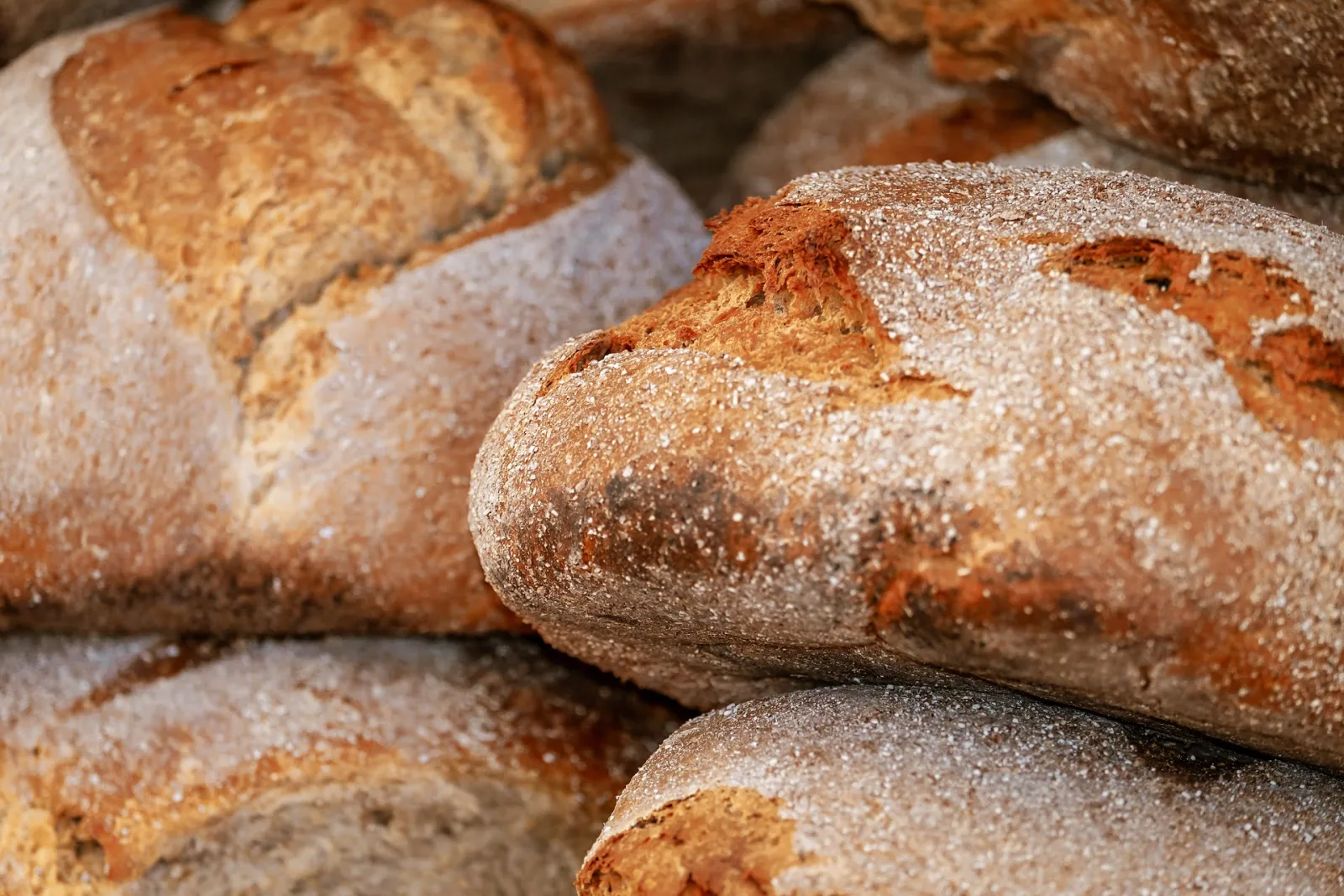 NR Ciabatta Basis, 1 kg - til italienske brødtyper