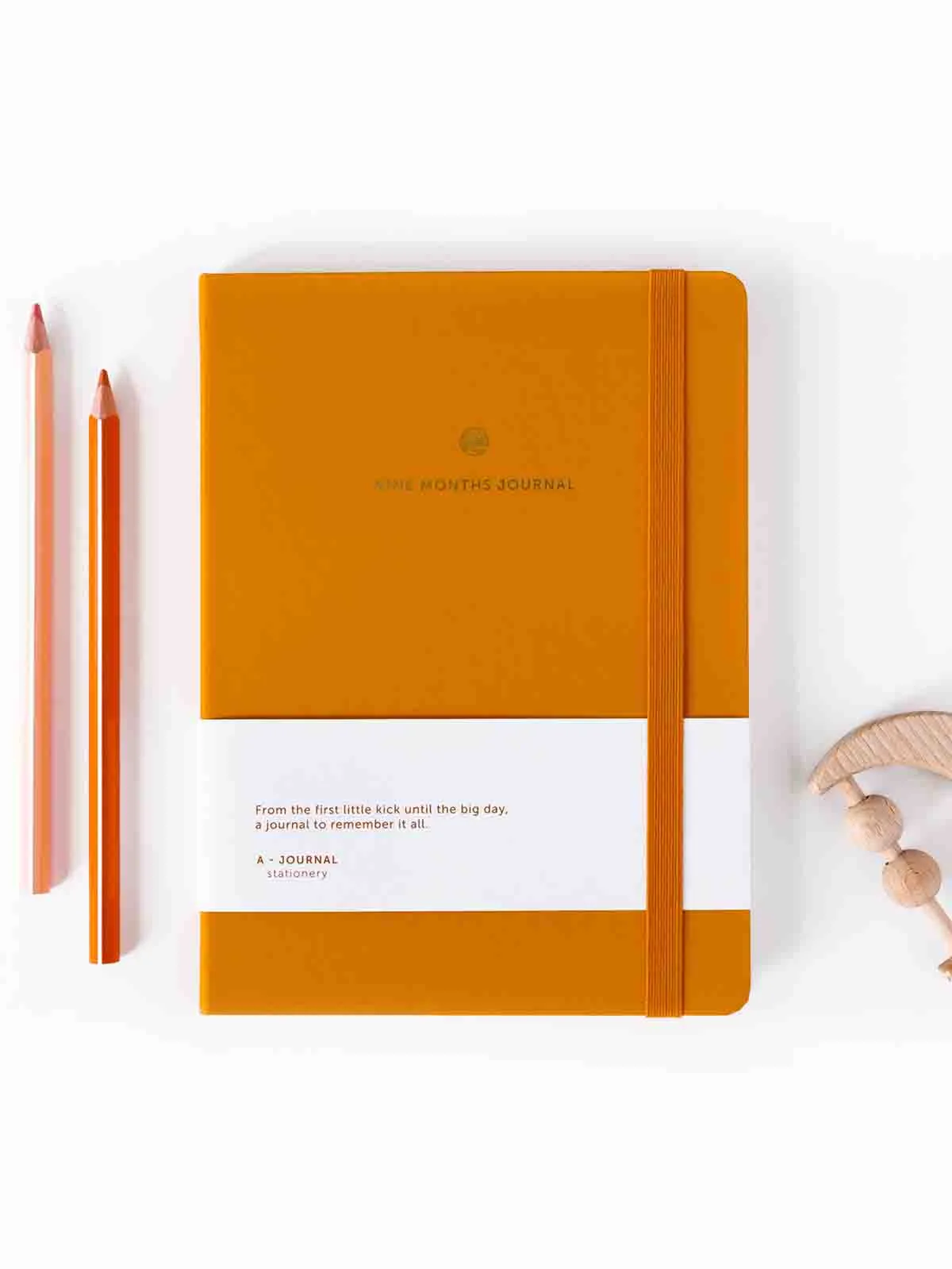 Graviditets dagbog "Nine month journal" - Gylden