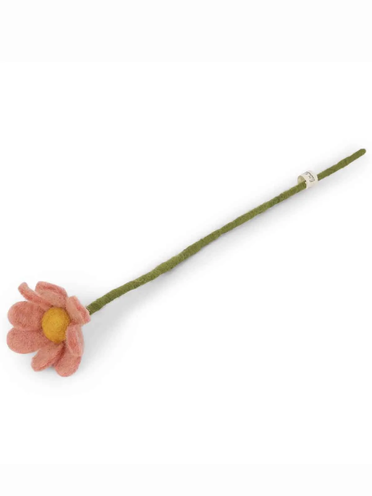 Filt anemone (30 cm) - Fersken