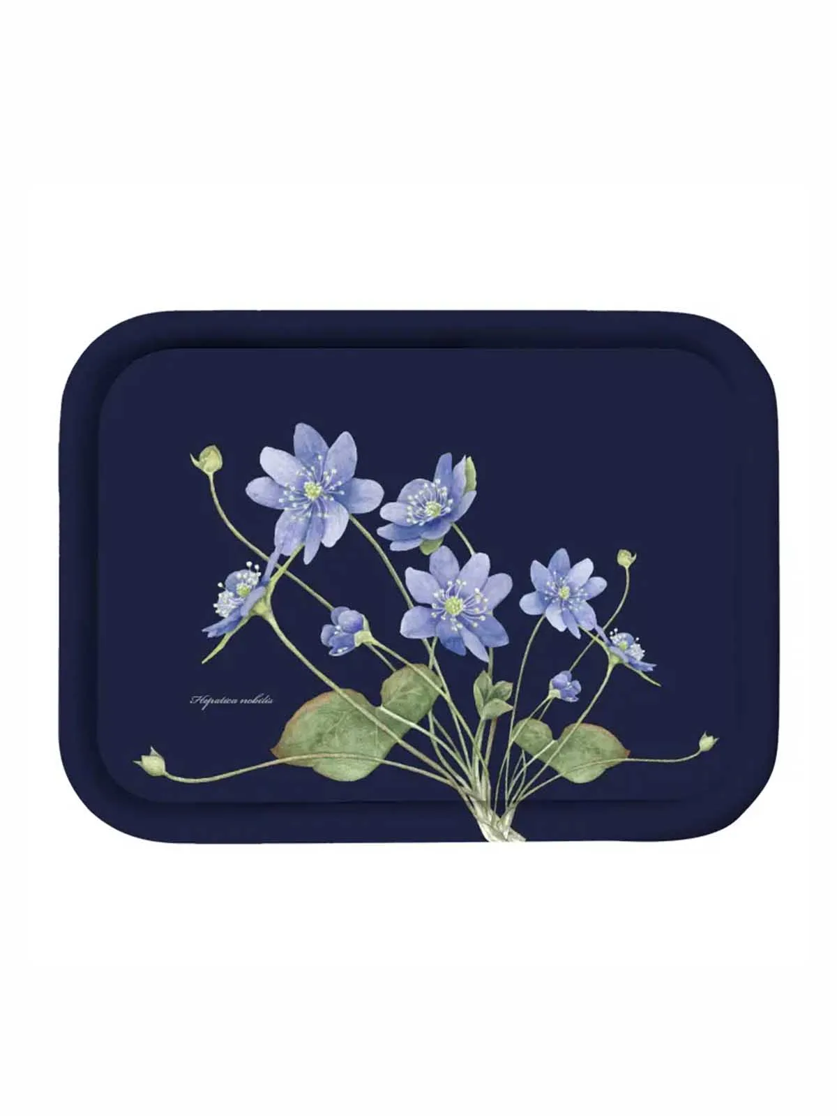 Bakke i birketræ 27 x 20 cm - Sort med blå anemoner