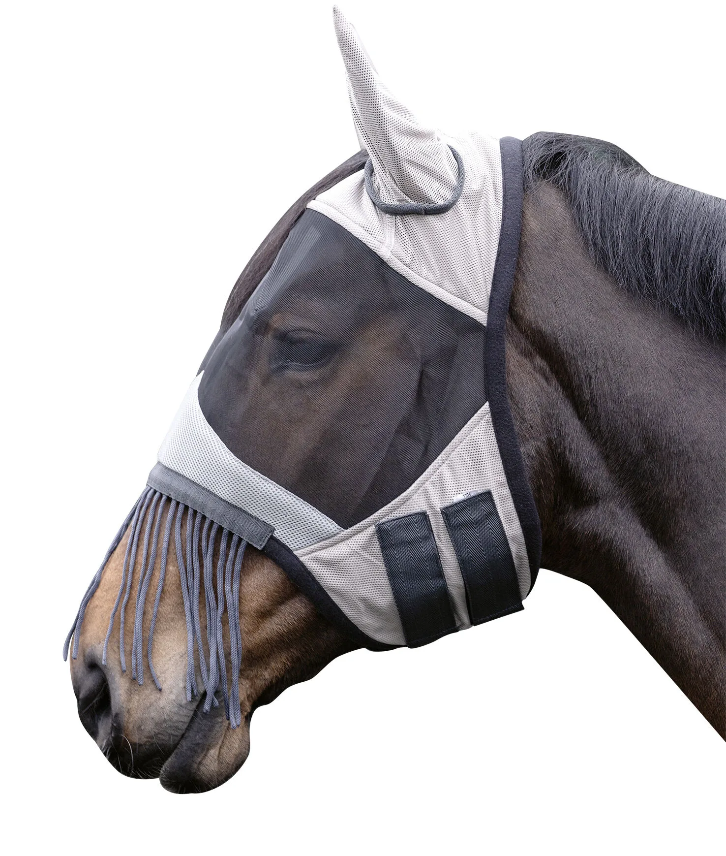 Insektmaske Fringes - Pony
