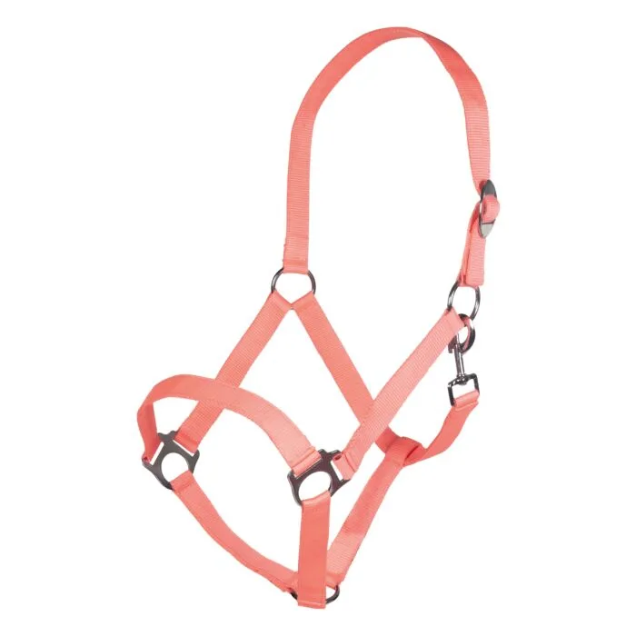Grime -STARS ECONOMY SOFTICE - SH , neon coral
