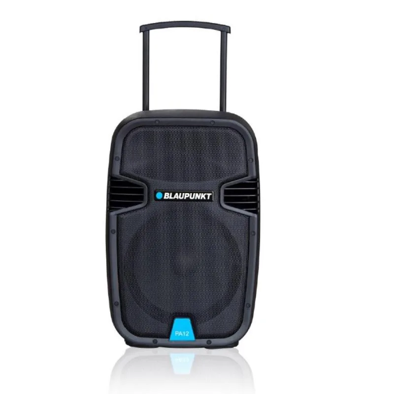 Blaupunkt Profesional System