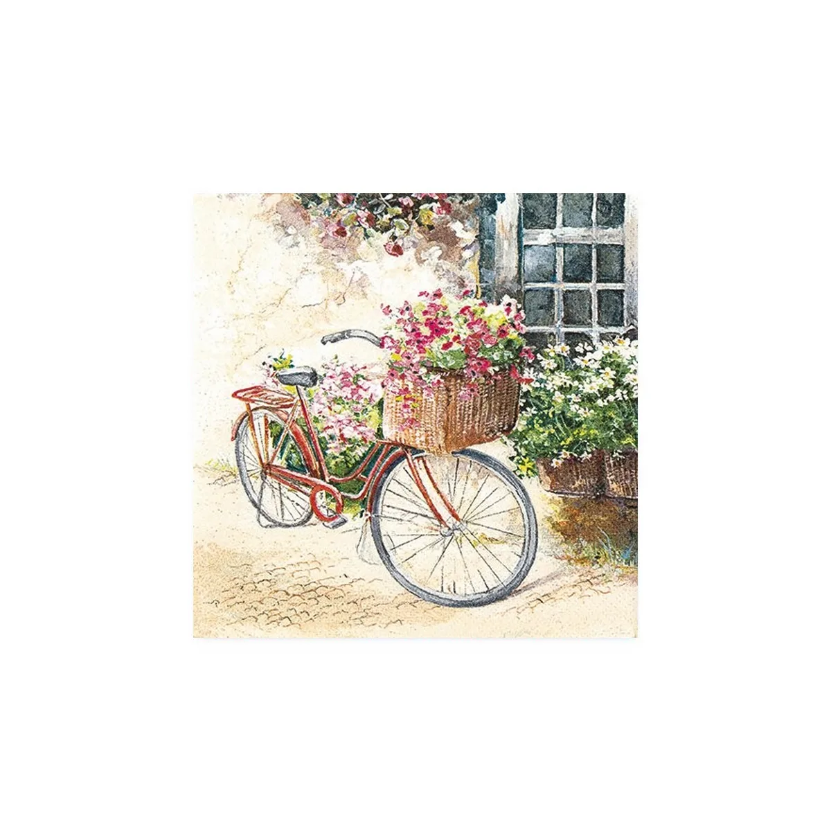 "Sommer cykel"