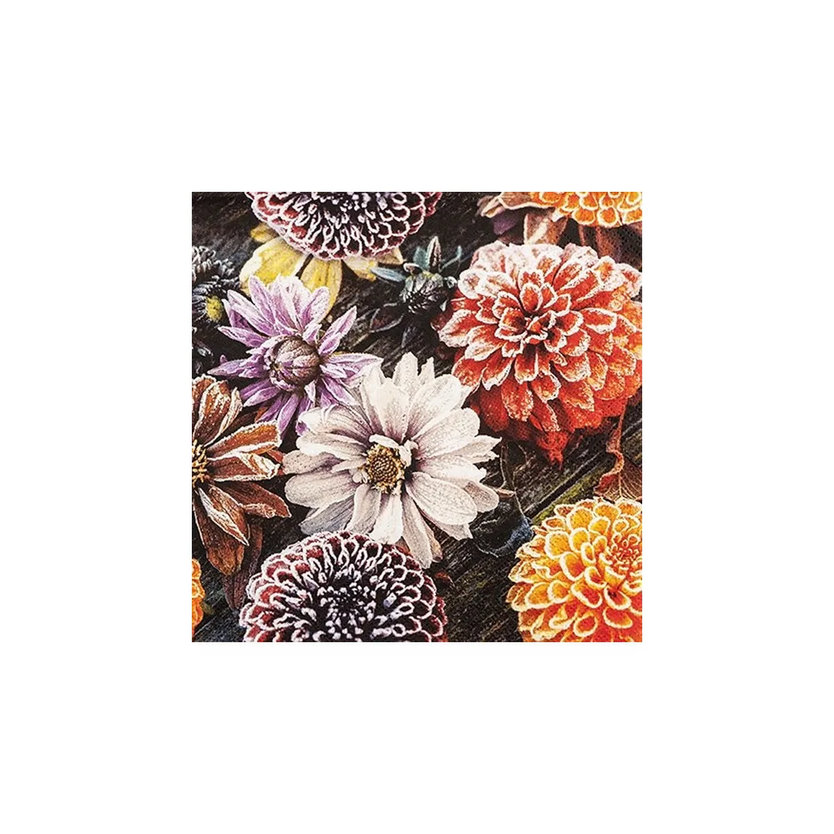 "Dahlias"